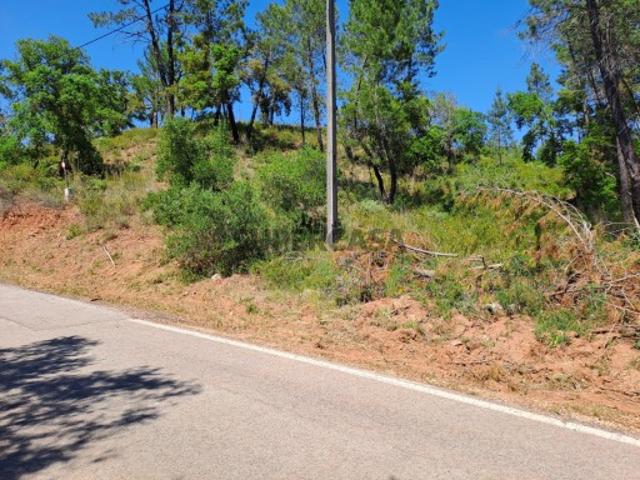 Terreno venda em Loulé, Faro
