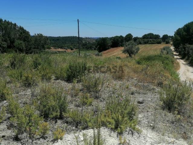 Terreno venda em Tomar, Cem Soldos Terreno venda em Tomar, Cem Soldos