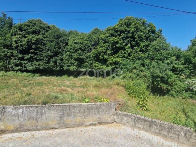 Terreno venda em Fiolhoso, Vila Real