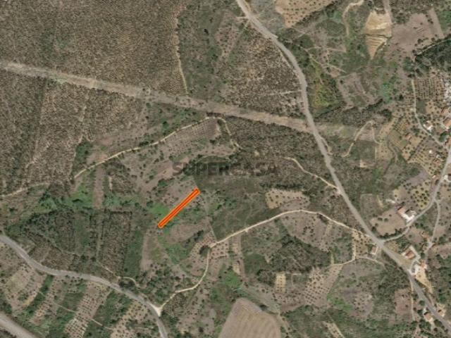 Terreno venda em Tomar, Santarém