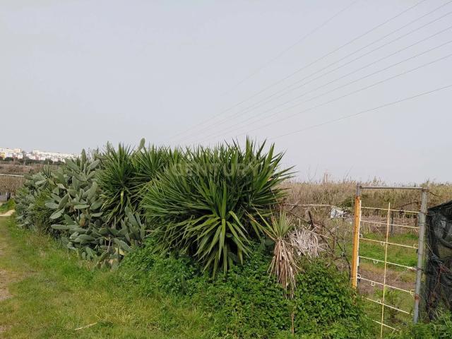 Terreno venda em Quinta de Santa Ana, Almada