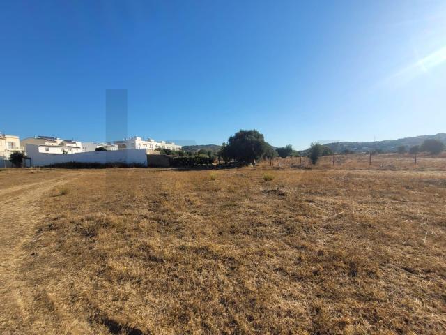 Terreno venda em Várzeas do Poço da Figueira, Tunes