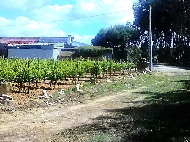 Quinta venda em São Bartolomeu dos Galegos e Moledo, Lourinhã