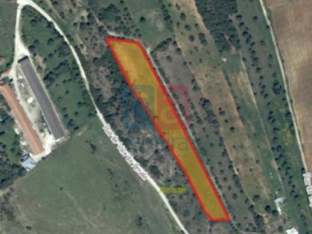 Terreno venda em Santarém