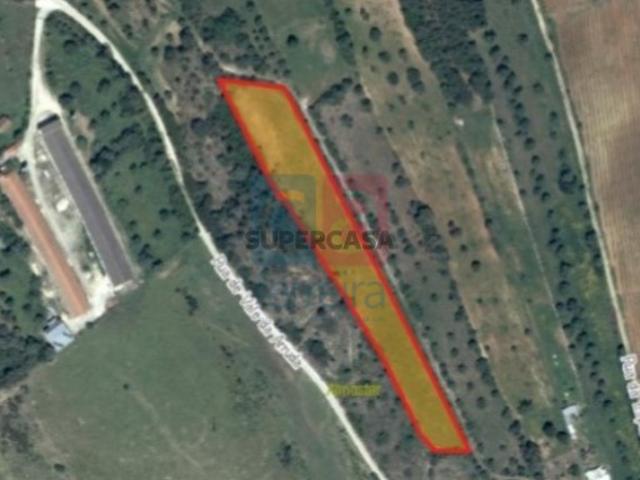 Terreno venda em Vila Nova do Coito, Santarém