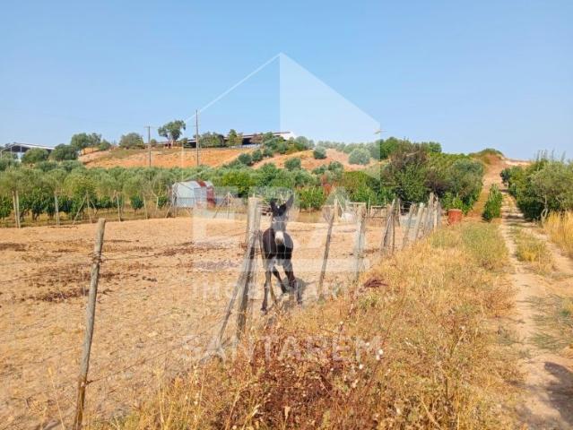 Terreno venda em Cartaxo, Santarém
