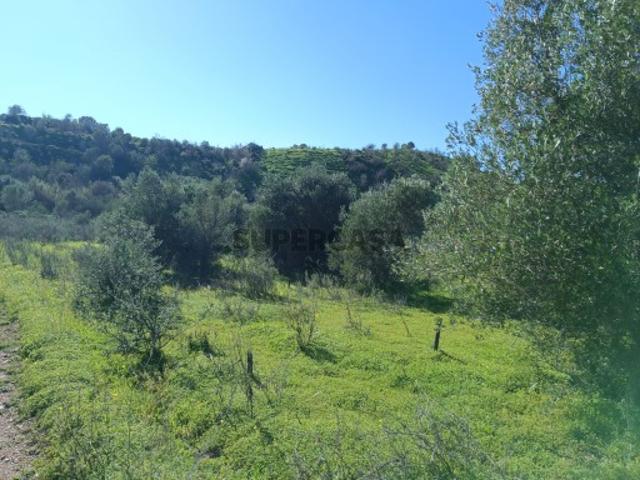 Terreno venda em Pisa Barro de Baixo, Castro Marim
