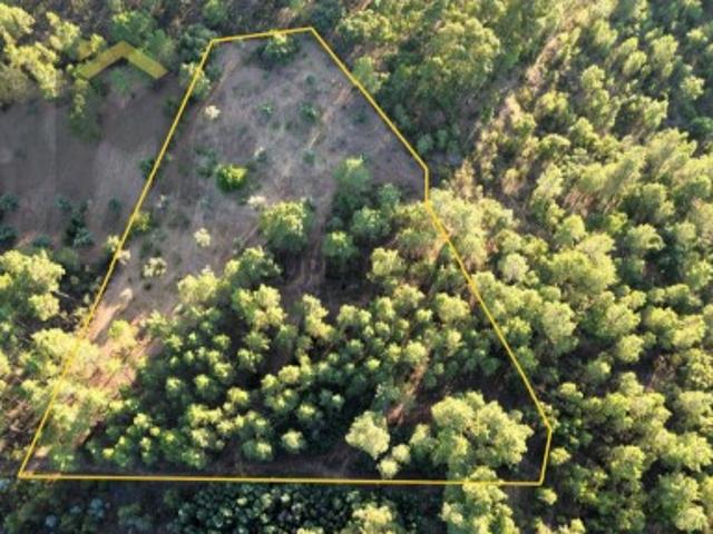 Terreno venda em Castelo Branco