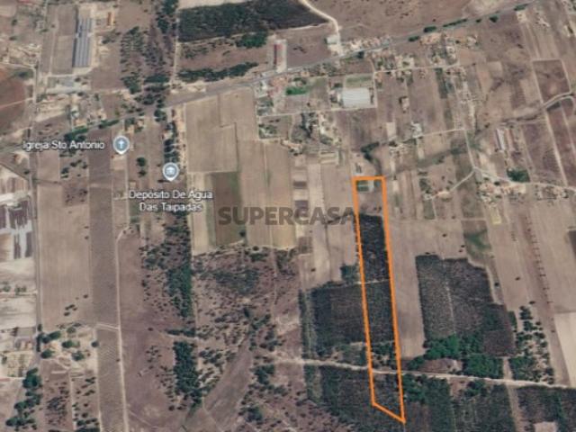 Terreno venda em Montijo, Setúbal