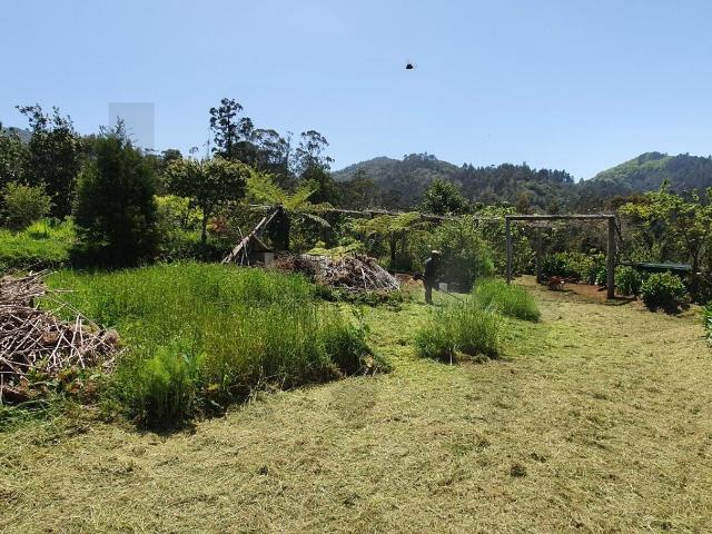 Terreno venda em Achada de Simão Alves, Santana