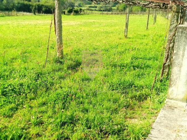 Terreno venda em Anho Bom, Marecos