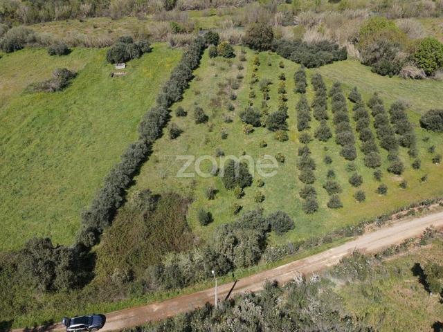 Terreno venda em Ribeira de Arade, São Bartolomeu De Messines