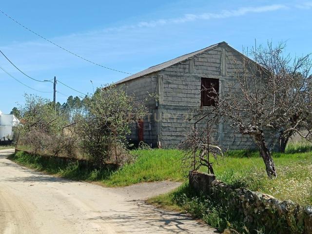 Terreno venda em Castelo Branco
