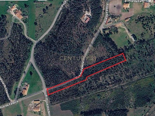 Terreno venda em Caldas Da Rainha, Leiria