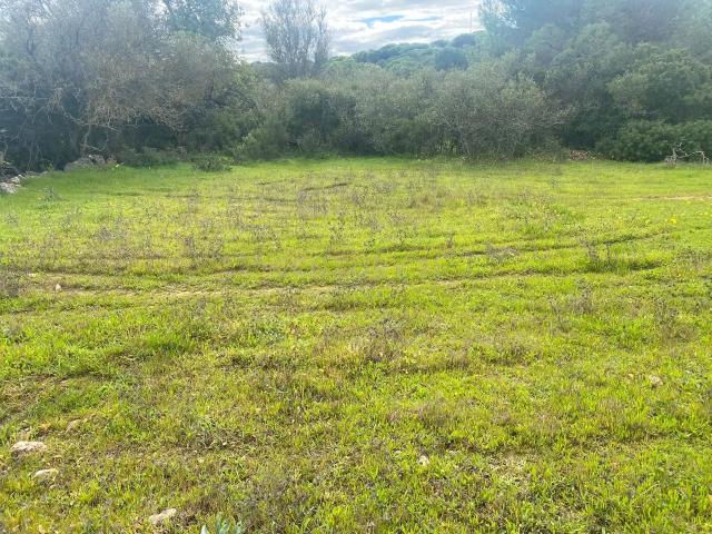 Terreno venda em Albufeira e Olhos de Água, Albufeira