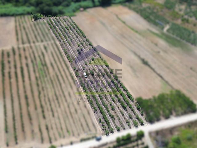 Terreno venda em Bombarral, Leiria