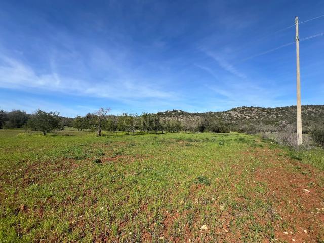 Terreno venda em Albufeira, Faro