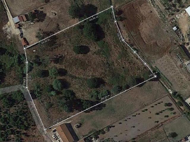Terreno venda em Cartaxo, Santarém