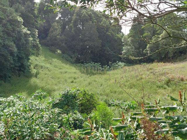 Terreno venda em Açores, Vila Franca Do Campo