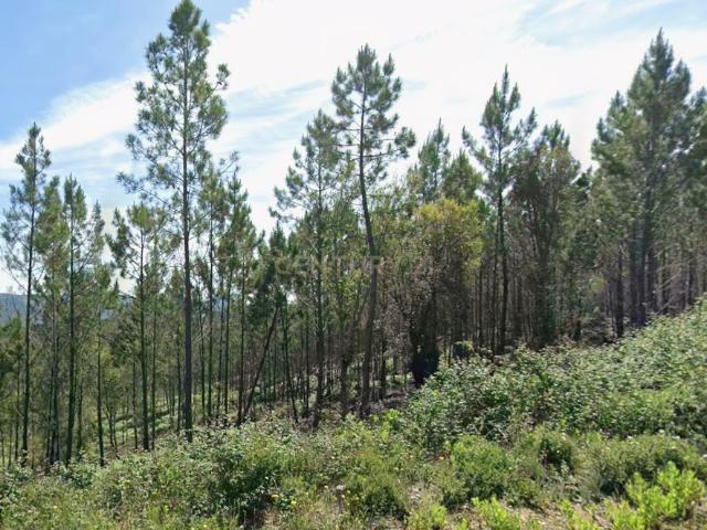 Terreno venda em Mação, Santarém