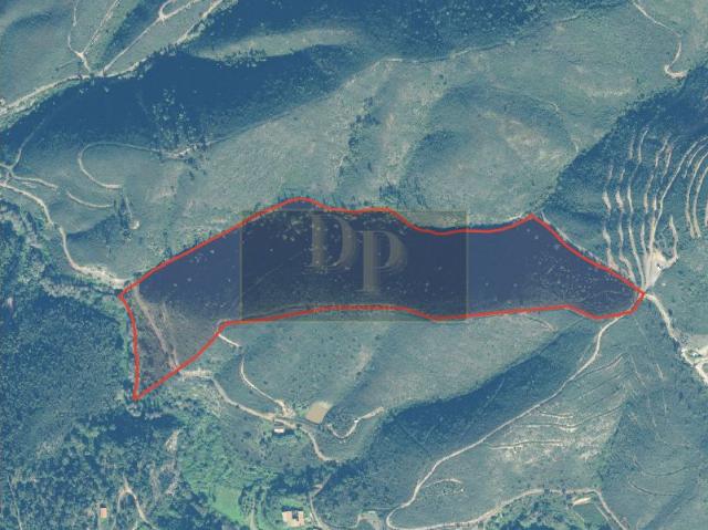 Terreno venda em Aguada de Cima, Águeda