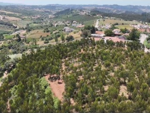 Terreno venda em Alcobaça, Leiria