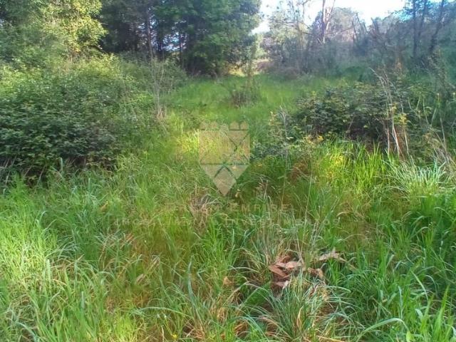 Terreno venda em Anho Bom, Marecos