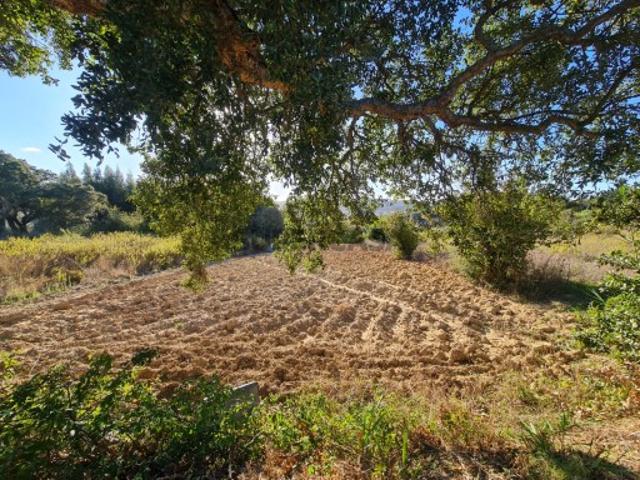 Terreno venda em Mafra, Lisboa