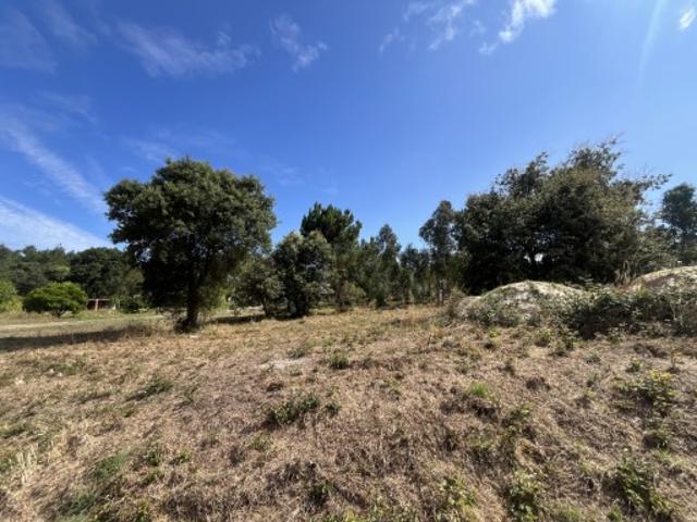 Terreno venda em Leiria