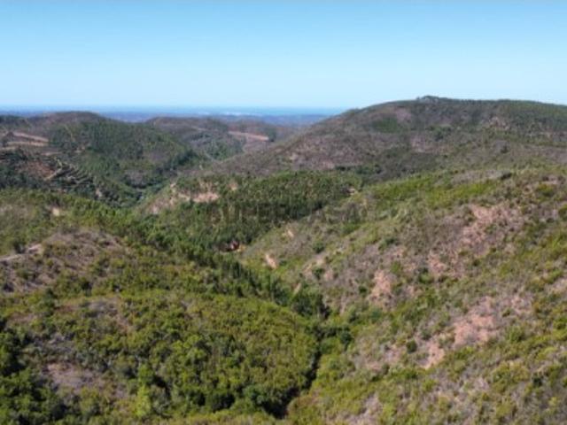 Terreno venda em Marmelete, Monchique