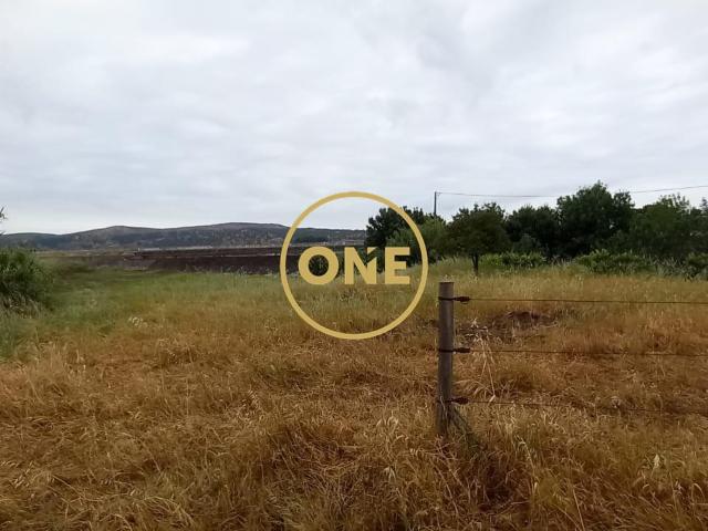 Terreno venda em Chamusca, Santarém
