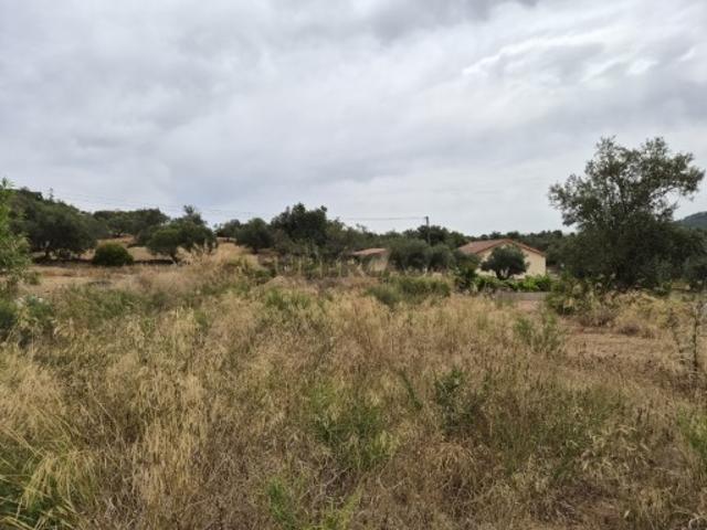 Terreno venda em São Bartolomeu De Messines, Faro