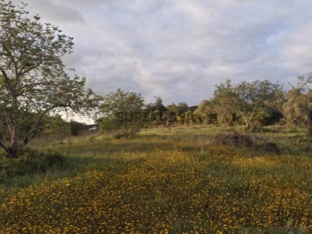 Terreno venda em Vale Telheiro, Loulé