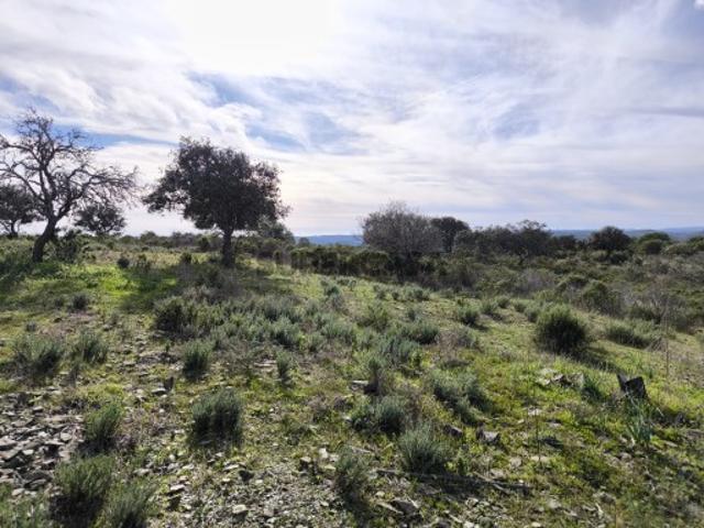 Terreno venda em Foz de Odeleite, Castro Marim