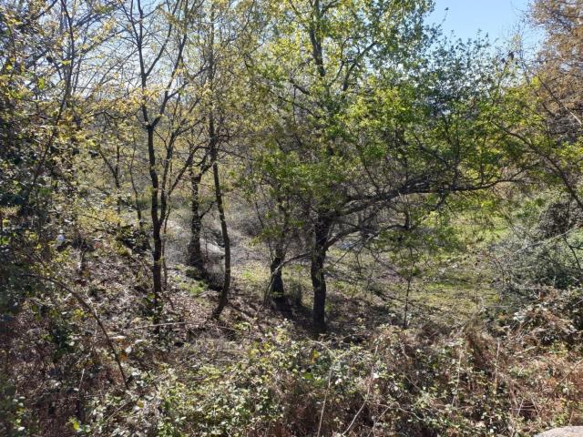 Terreno venda em Cabeceiras De Basto, Braga