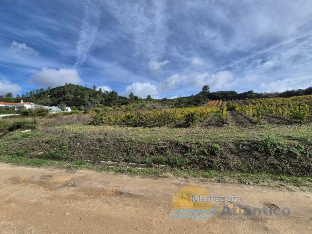 Terreno venda em Arruda Dos Vinhos, Lisboa