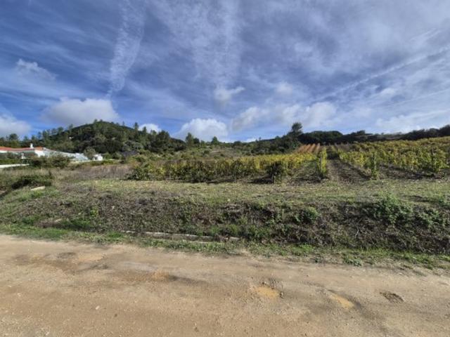 Terreno venda em Arruda Dos Vinhos, Lisboa