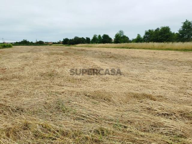 Terreno venda em Oliveira do Bairro, Aveiro