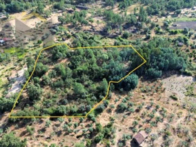 Terreno venda em Castelo Branco