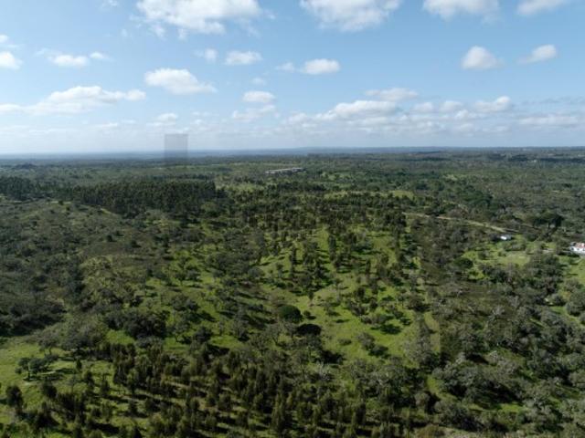 Terreno venda em Mosqueirões, Grândola
