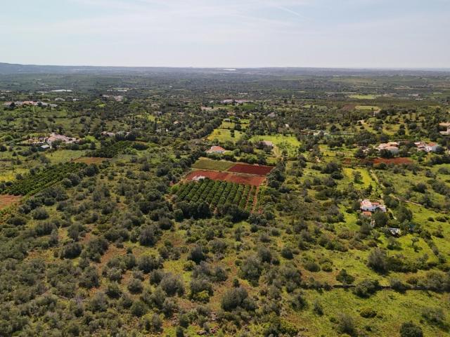 Terreno venda em Ribeira do Neiva, Vila Verde