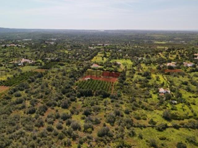 Terreno venda em São Bartolomeu De Messines, Faro