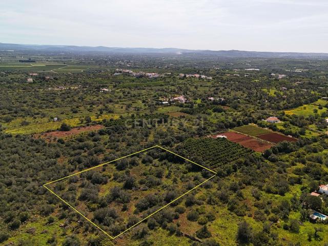 Terreno venda em Silves, Faro
