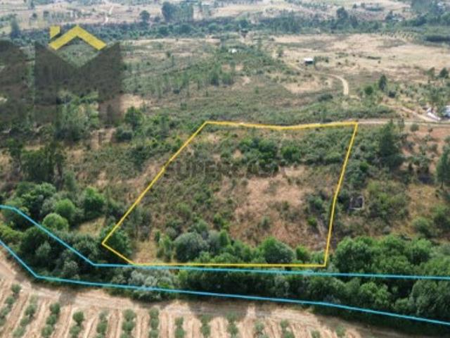 Terreno venda em Castelo Branco