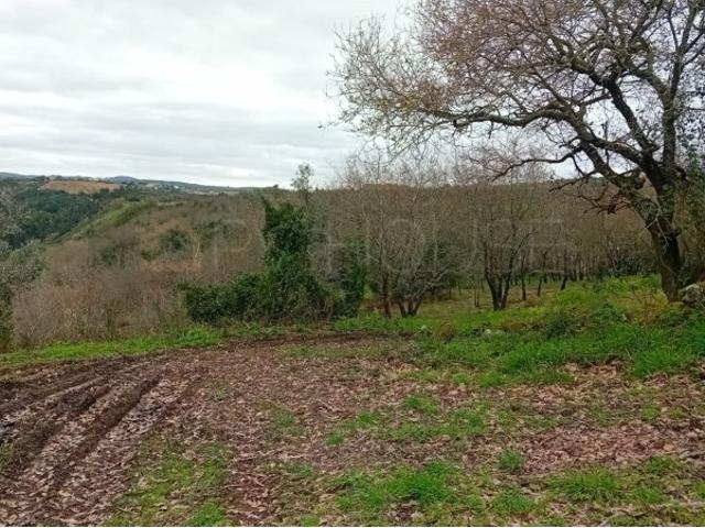 Terreno venda em Sintra, Lisboa
