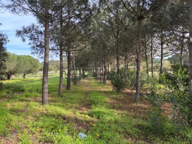 Terreno venda em Aljezur, Faro