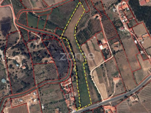 Terreno venda em Silves, Faro