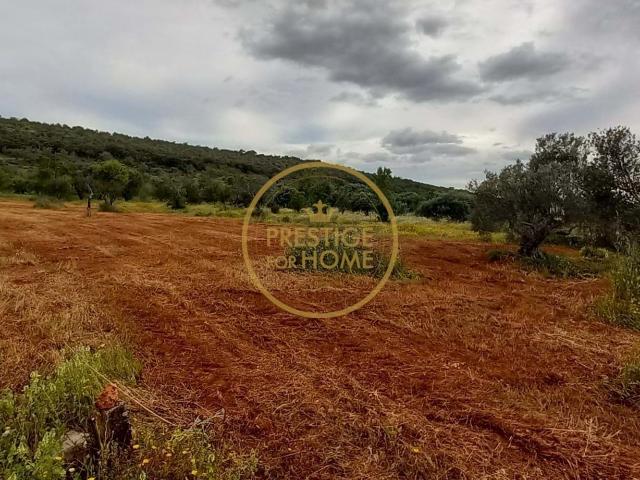 Terreno venda em Loulé, Faro