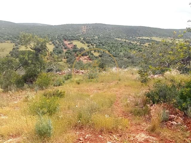 Terreno venda em Loulé, Faro