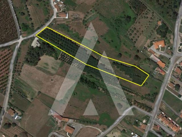 Terreno venda em Batalha, Leiria